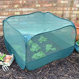 Pop Up Fruit and Vegetable Cage Grow-House (0.65m high)